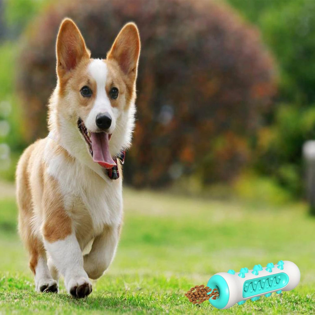 Juguete para limpiar los dientes del perro